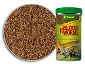 Teraa FD Blood Worm – Teraa