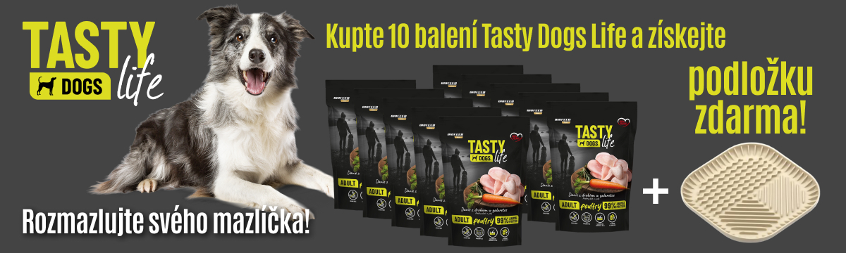 Tasty Dogs 20-11-2025