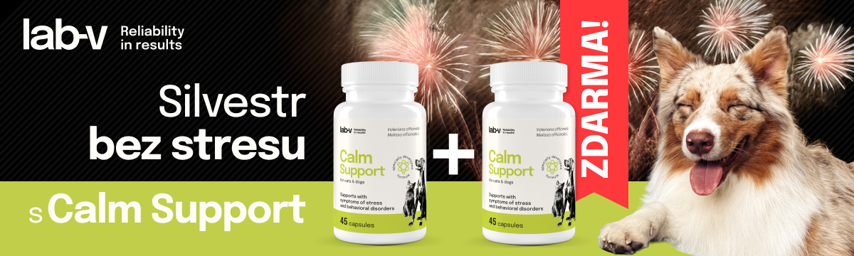 lab-v Silvestr 11.12.2025