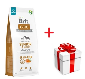 BRIT CARE Dog Grain-free Senior & Light Salmon 12kg + překvapení