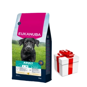 EUKANUBA Adult Large Breed Chicken 15kg + Překvapení pro psa