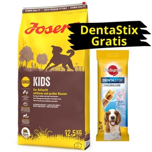 JOSERA Kids 12,5kg + DentaStix GRATIS!