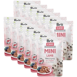 BRIT CARE Mini jehněčí filety v omáčce pro štěňata 12x85g