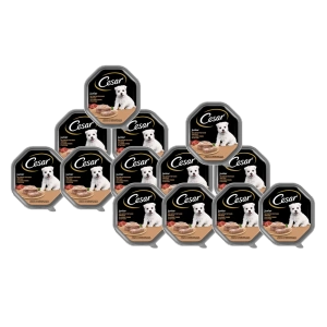 CESAR Junior miska 14x150g – kompletní mokré krmivo pro štěňata, s krůtím masem a telecím masem, v paštice