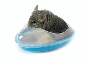 SAVIC Koupelna činčila 26x23x15 cm