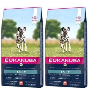 Eukanuba Adult Large Salmon&Barley 2x12kg