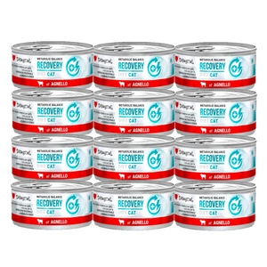 Disugual Karma mokra pro kočky Veterinární RECOVERY Jehněčí (dospělí) 12x85g