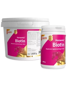 DOLFOS Horsemix Biotin 600 g