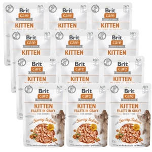 BRIT CARE Cat Kitten Fillets in Gravy with Savory Salmon Enriched with Sea Buckthorn and Nasturtium  12x85g