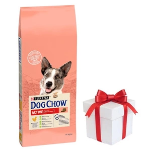 PURINA Dog Chow Adult Active Chicken 14kg + PŘEKVAPENÍ ZDARMA !!!
