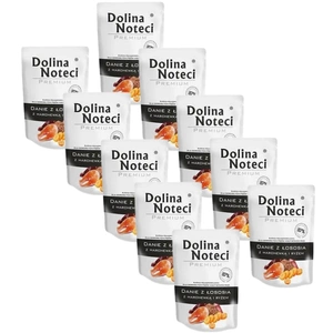 DOLINA NOTECI Dish of salmon with carrots and rice 10x100g-pes mokré krmivo