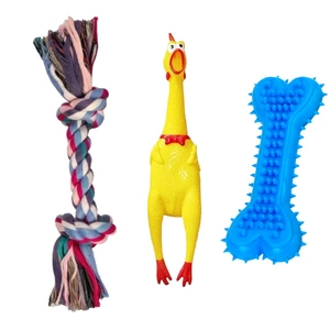 Sada hraček pro psy