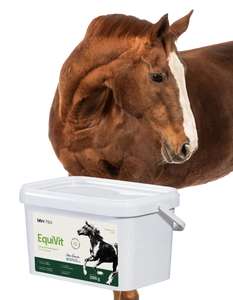 Lab-v EquiVit Dietní krmivo pro koně a poníky na podporu imunity, osteoartikulárního systému a správného metabolického metabolismu 2kg