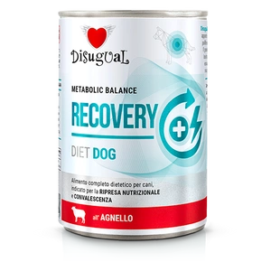 Disugual mokré krmivo pro psy Veterinární RECOVERY Jehněčí (dospělí) 400 g