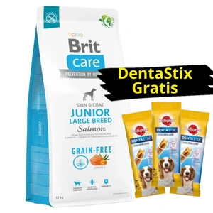Brit Care Grain-free Junior Large Breed Salmon 12kg + 3x DentaStix GRATIS