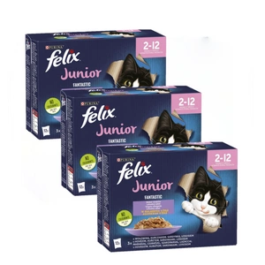 FELIX Fantastic Junior Želé; 36x85g