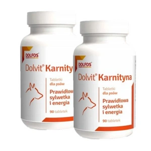 Dolvit Karnityna 2x90 tablet
