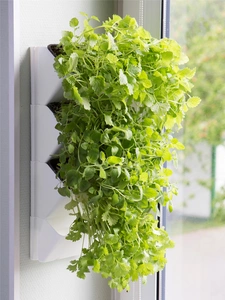 AQUAEL Nástěnný herbář Versa Garden Herbs