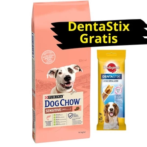 PURINA Dog Chow Adult Sensitive Salmon 14kg + DentaStix GRATIS