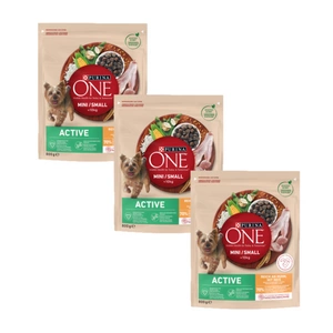 PURINA ONE Mini Active kuře, rýže - suché krmivo pro psy - 3x800g