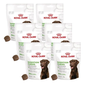 Royal Canin Digestion Adult Chews 6x160g