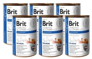 BRIT GF Veterinary Diets Recovery Salmon 6x400g – mokré krmivo pro psy a kočky