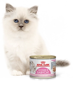 ROYAL CANIN Babycat Instinctive Feline  195g