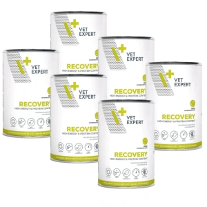 VETEXPERT Recovery 6x400g