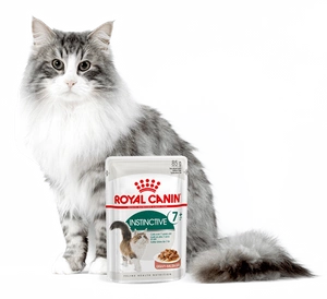 ROYAL CANIN  Instinctive +7 12x85g
