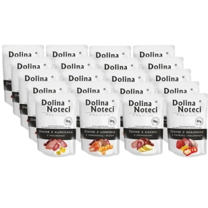 DOLINA NOTECI Mix chutí 20x100g-vlhké krmivo pro psy