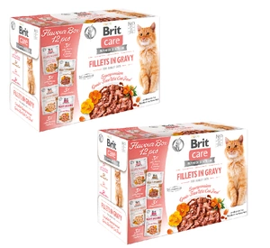 BRIT CARE Kočičí filety v omáčce mix 24x85g