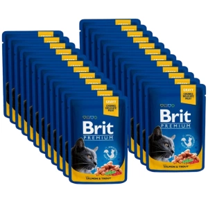 BRIT Cat Premium s lososem & pstruhem v omáčce 24x100 g