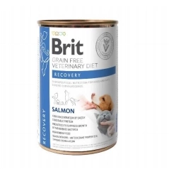 BRIT GF Veterinary Diets Recovery Salmon 400 g – mokré krmivo pro psy a kočky