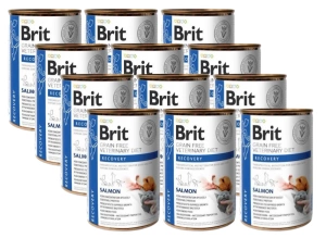 BRIT GF Veterinary Diets Recovery Salmon 12x400g – mokré krmivo pro psy a kočky