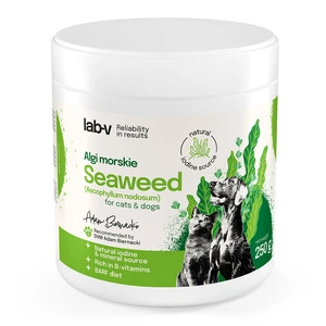 Mořské řasy Lab-v – přírodní zdroj jódu a minerálů pro psy a kočky 400g