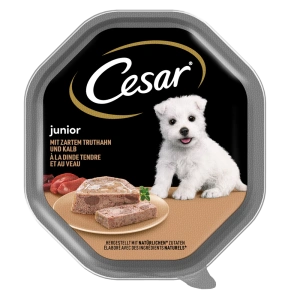 CESAR Junior miska 150 g – kompletní mokré krmivo pro štěňata, s krůtím masem a telecím masem, v paštice
