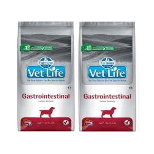 FARMINA Vet Life Dog Gastrointestinal 2x2kg