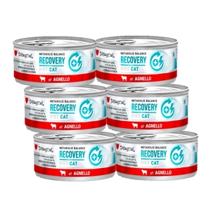 Disugual mokré krmivo pro kočky Veterinární RECOVERY Jehněčí (dospělí) 6x85g