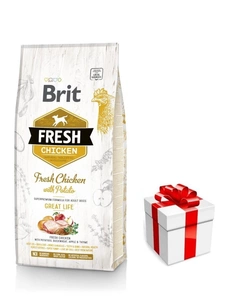 Brit Fresh Chicken & Potato Adult Great Life 12kg + Překvapení pro psa