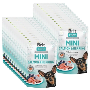 Brit Care Mini Losos a sledě v omáčce 24x85g