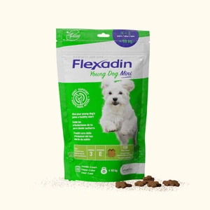 VETOQUINOL Flexadin Young Dog Mini 60