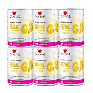 Disugual Karma mokra pro psy Veterinární RENAL Vepřové maso (dospělí) 6x400g