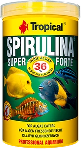 TROPICAL Super Spirulina Forte 250 ml
