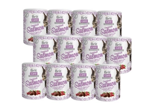 BRIT CARE Cat Snack Superfruits Salmon 12x100g