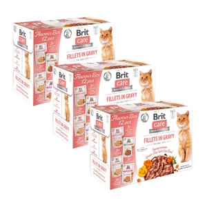 BRIT CARE Kočičí filety v omáčce mix 36x85g