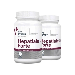 VETEXPERT Hepatiale Forte Large Breed 2x40 tablet