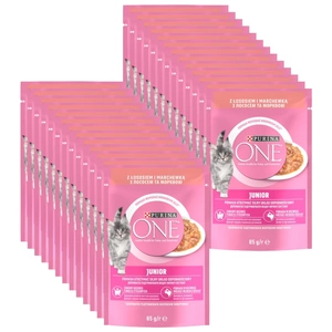 Purina One Junior s lososem a mrkví 26x85g
