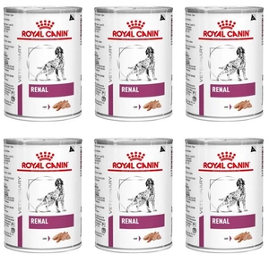 ROYAL CANIN Renal Canine 6x410g konzerva