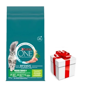 Purina One Indoor Formula Krůta a pšenice Krmivo pro dospělé kočky 9,75 kg + překvapení pro kočku ZDARMA