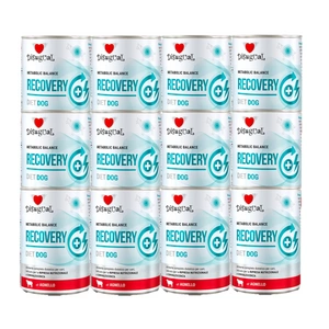 Disugual mokré krmivo pro psy Veterinární RECOVERY Jehněčí (dospělí) 12x400g